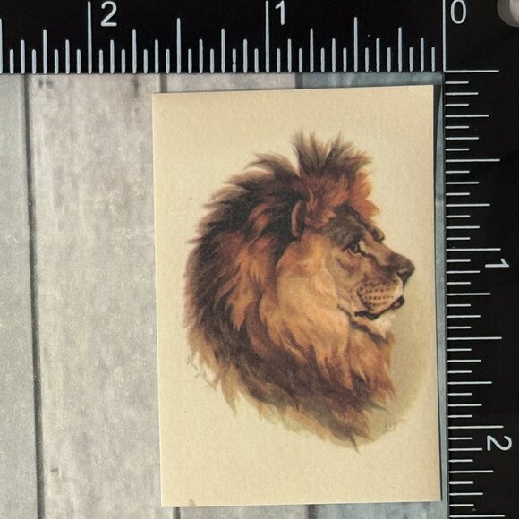 🌀10/$10🌀 Classic Grassland Animals Reusable Washi Sticker Decal - Picture 1 of 1